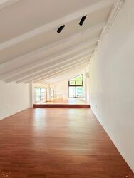 Cluny Park (D10), Detached #496512751